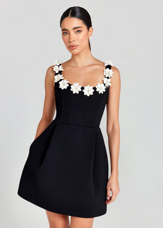 Anaya | Women’s Fit-and-Flare Mini Dress